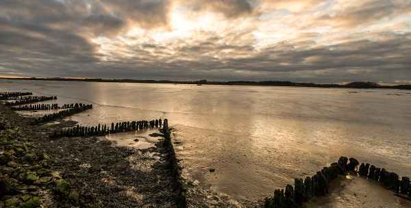 Of Mud and Light