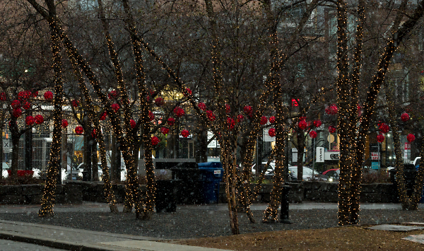 'Tis the Season