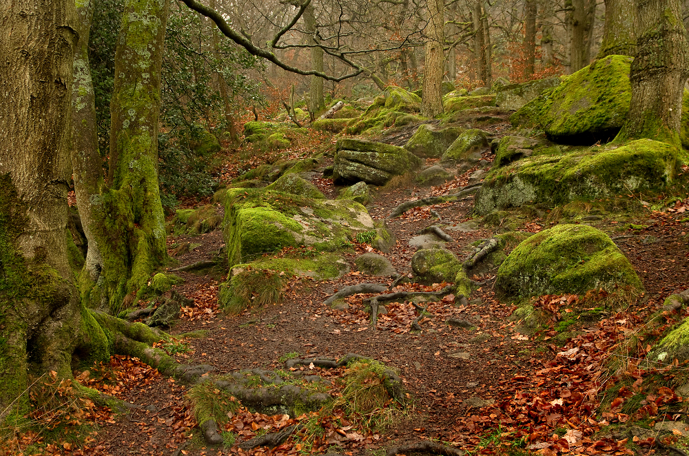 A Rocky Path