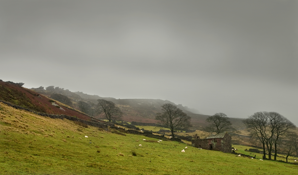 Low Cloud on The Roaches