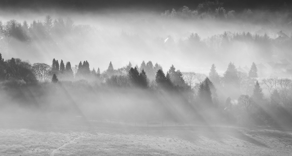 Campsie Village Mist