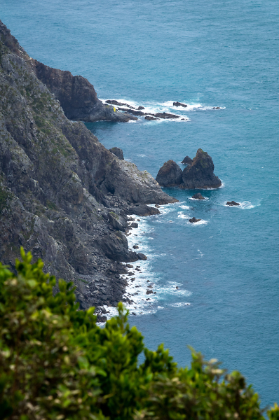 Kapiti Island