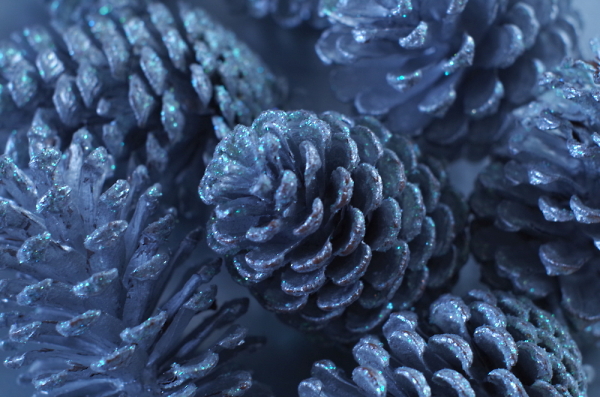 Pine Cones