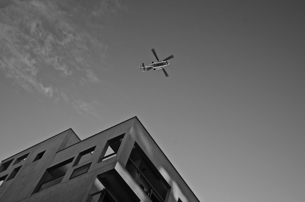 Pure flight.