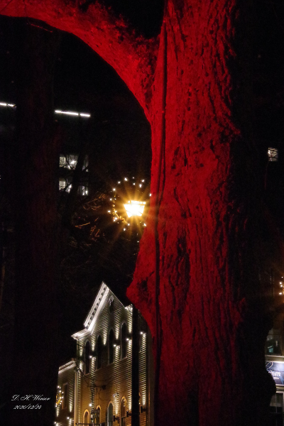 Seasonal Lighting