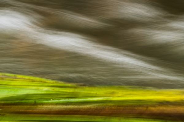 Winter Scape