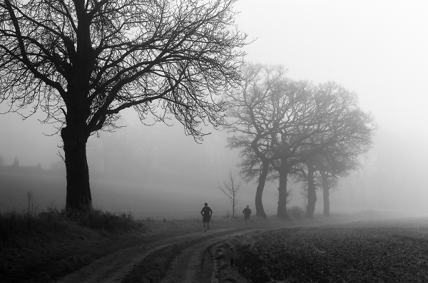 Fog and snow