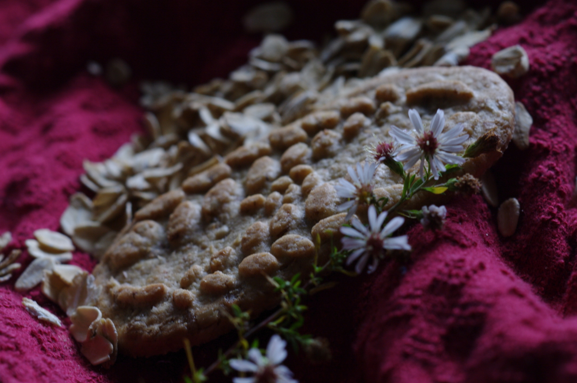 Breakfast Cookie