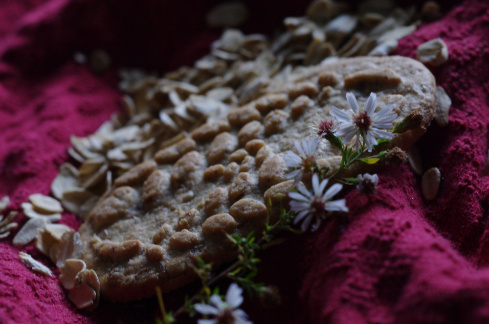 Breakfast Cookie