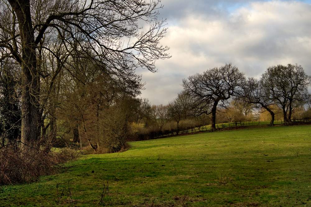 Late Afternoon English Countryside