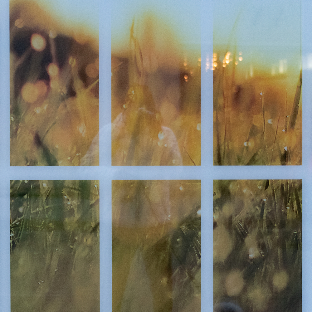 Six Frames