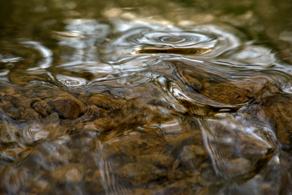 Water in a Stream