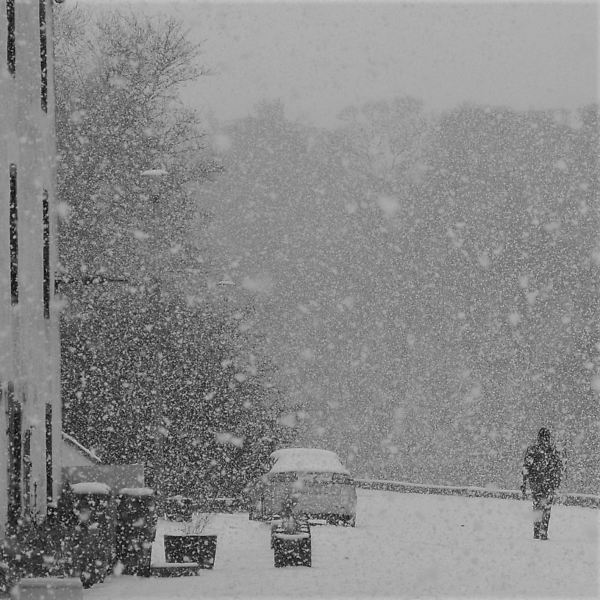 A Walk in the Snow
