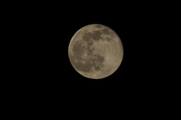 Snow moon