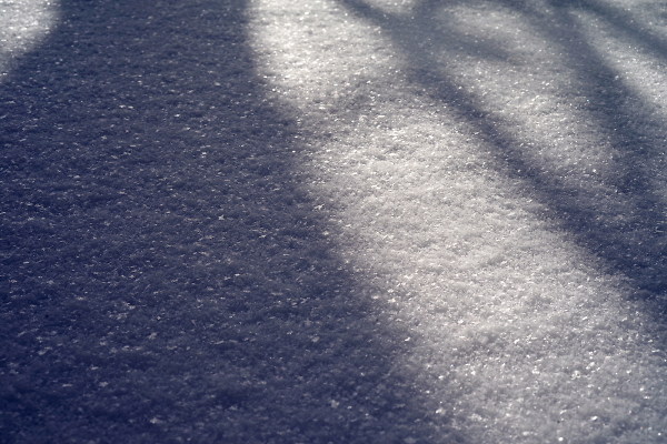 Tree shadows on virgin snow.