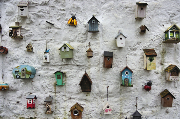 Avian Condos