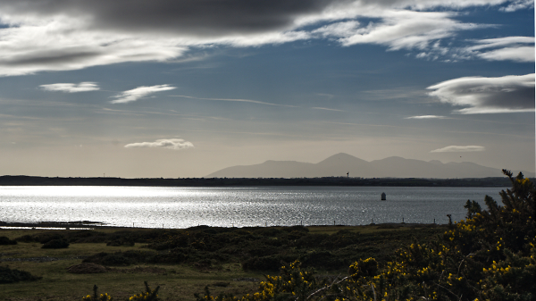 Distant Mournes