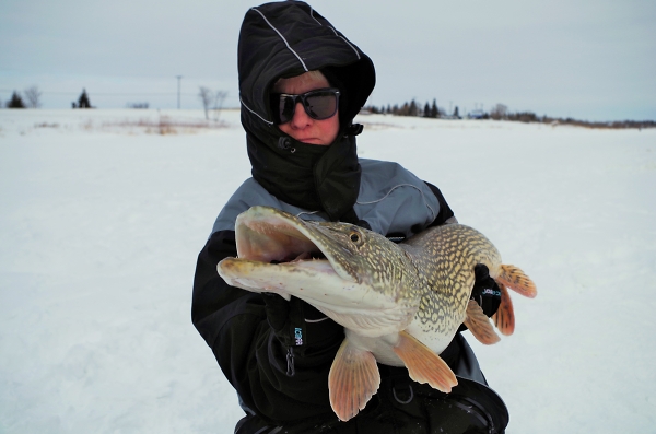 From a 10inch Hole in the Ice!