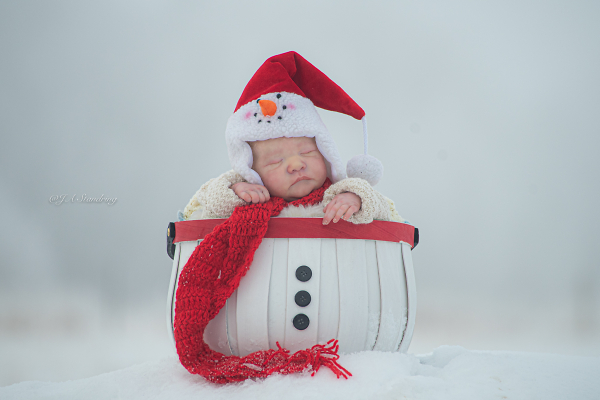 Frosty's New Baby (Living In The Canadian North)