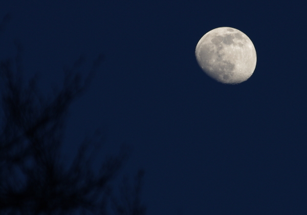 March evening Moon