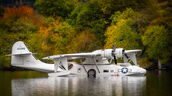 Not Something Seen Everyday On The Loch