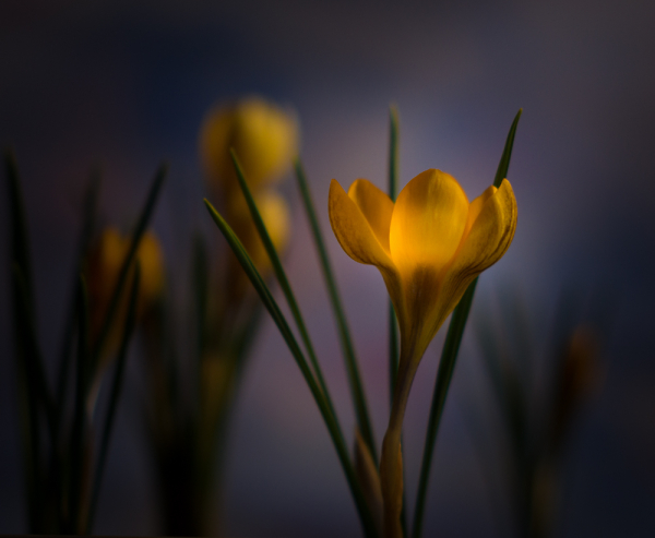 Springtime.