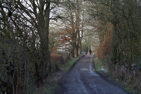 The Path Home