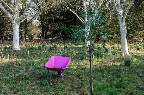 The PInk Barrow