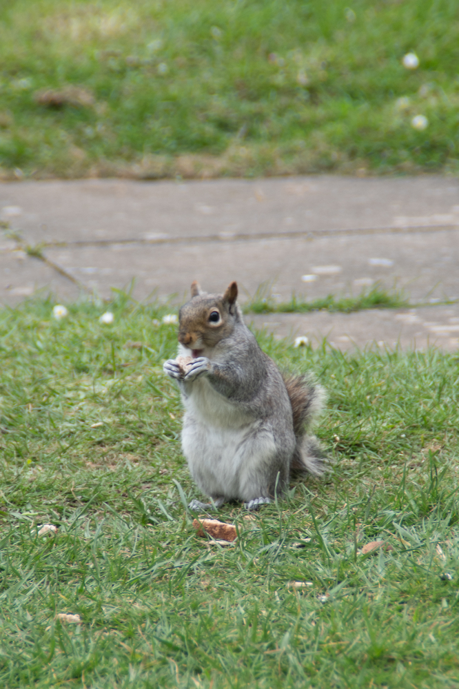 feeding time