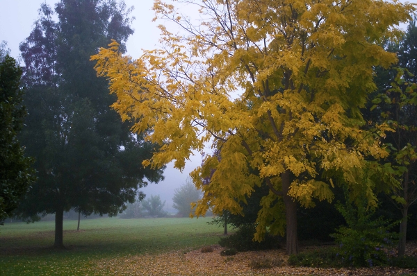 Autumn