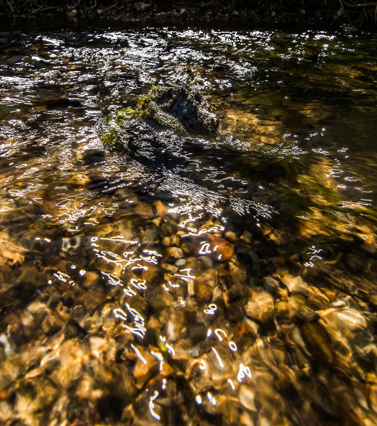 Flowing By