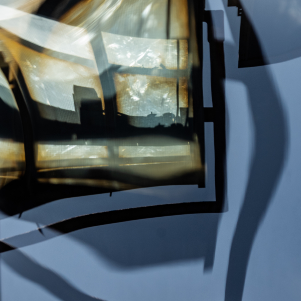 Inside the Pane