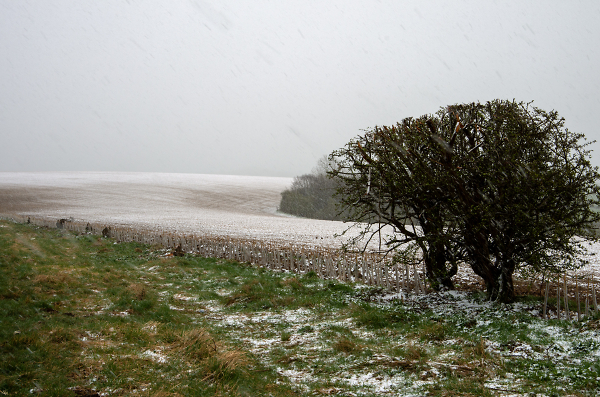 Snow it's April!!