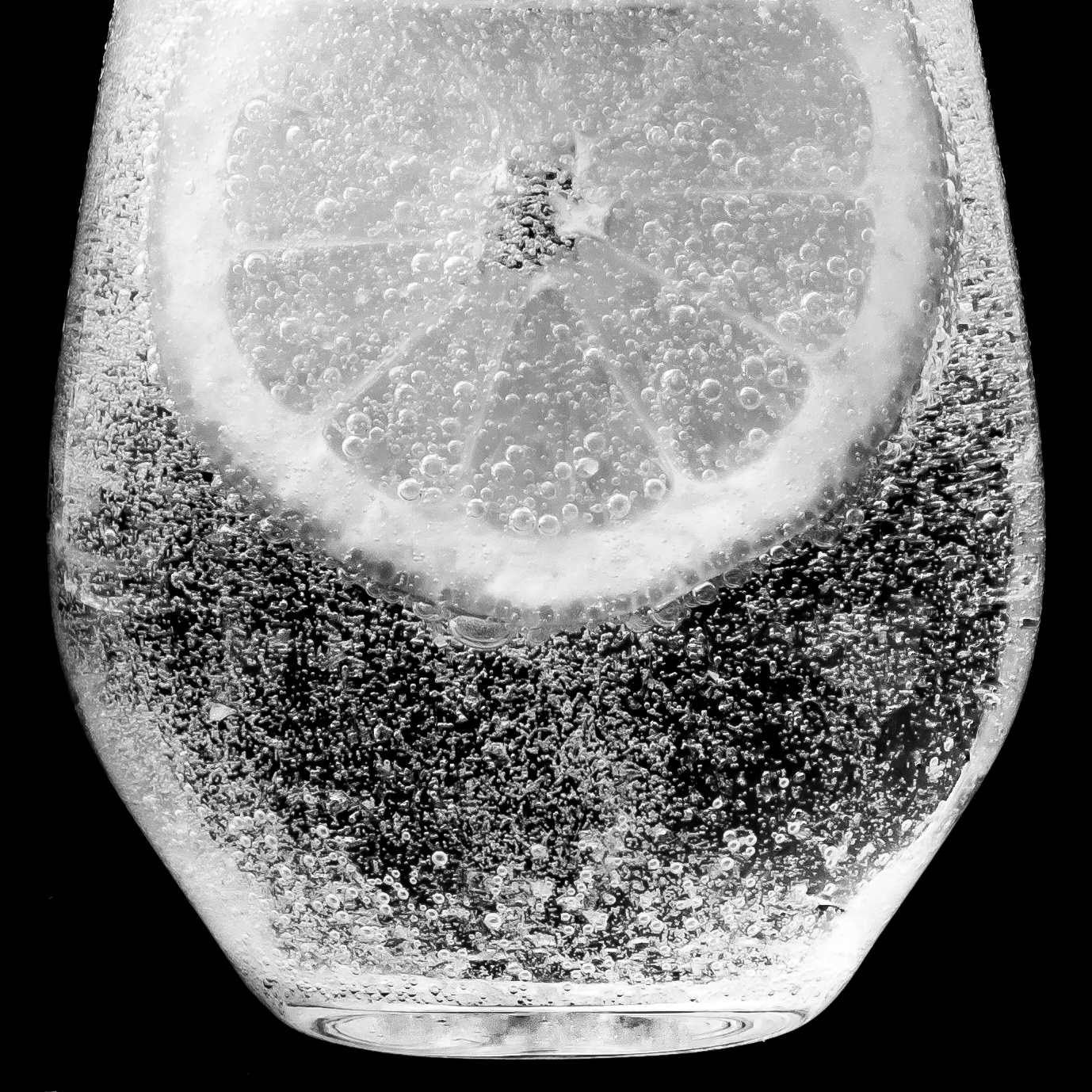 Lemon Slice