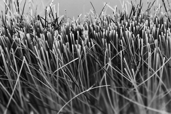 Bristling With Energy