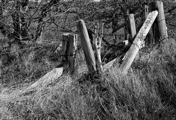 In the Countryside.