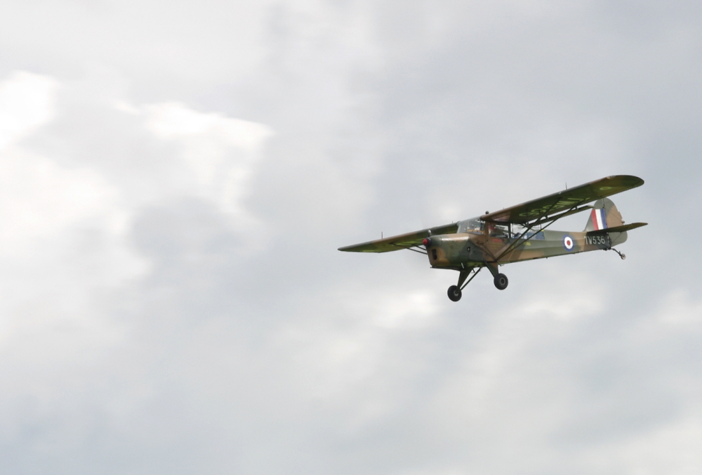 Auster AOP.6