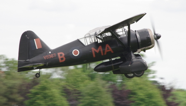 Lysander on take-off