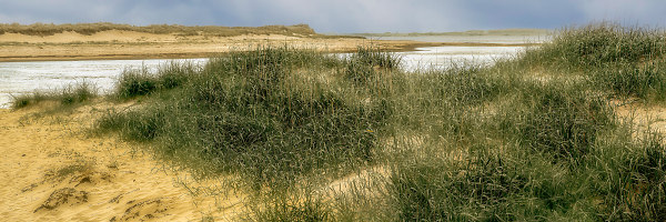 The Dunes