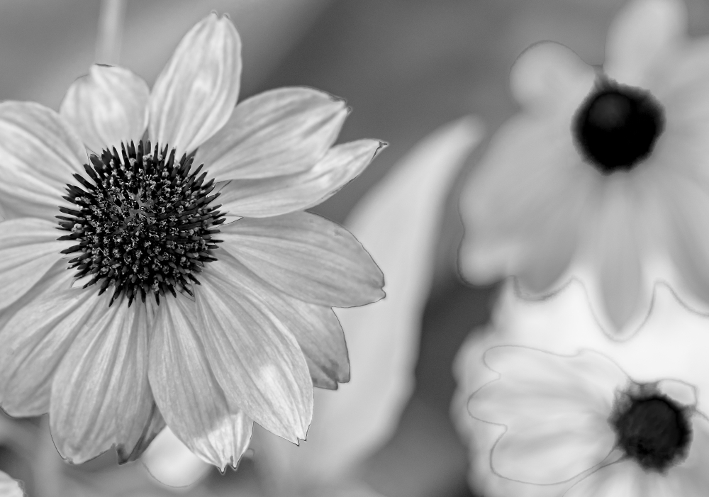 Three-Spot