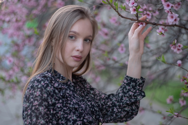 THE SPRING
