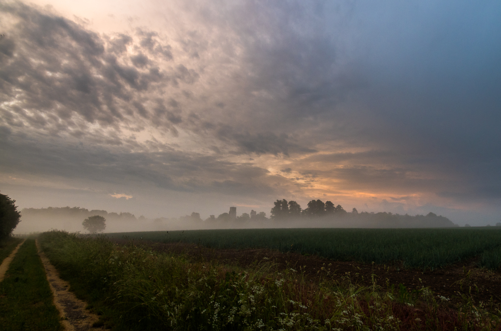 Dawn