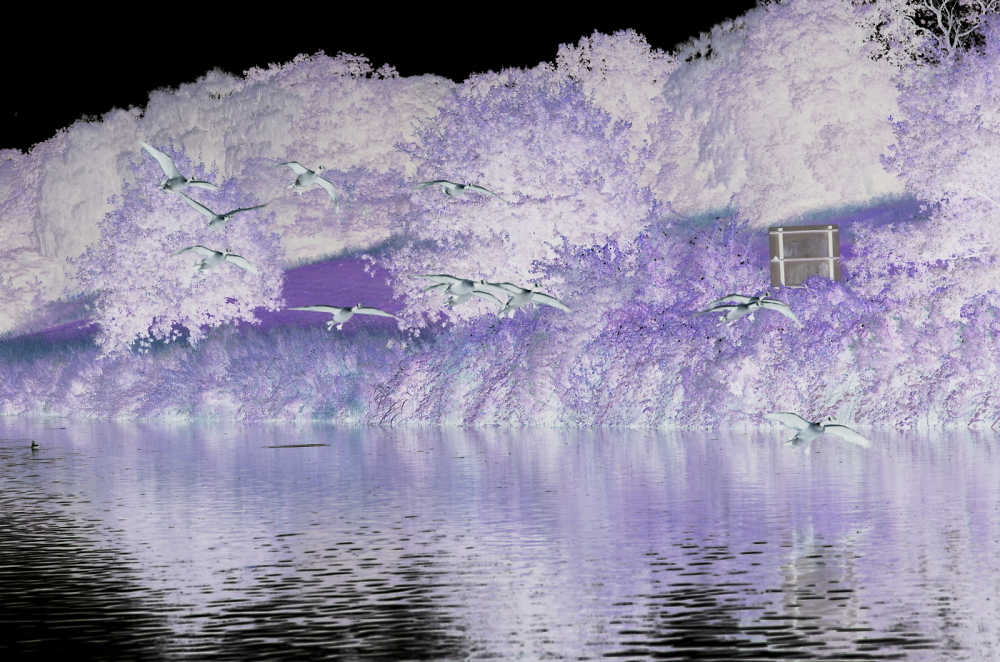 Lilac River scene