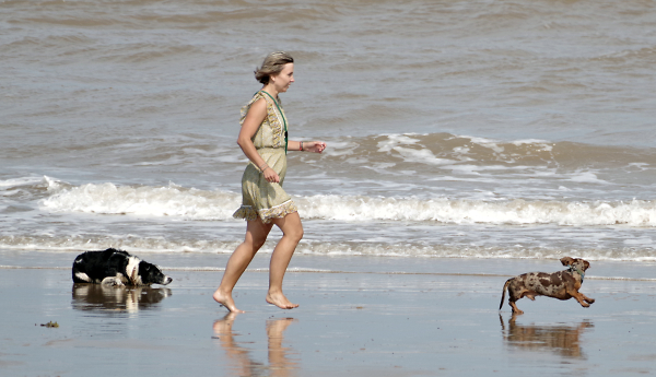 Fun at the Beach