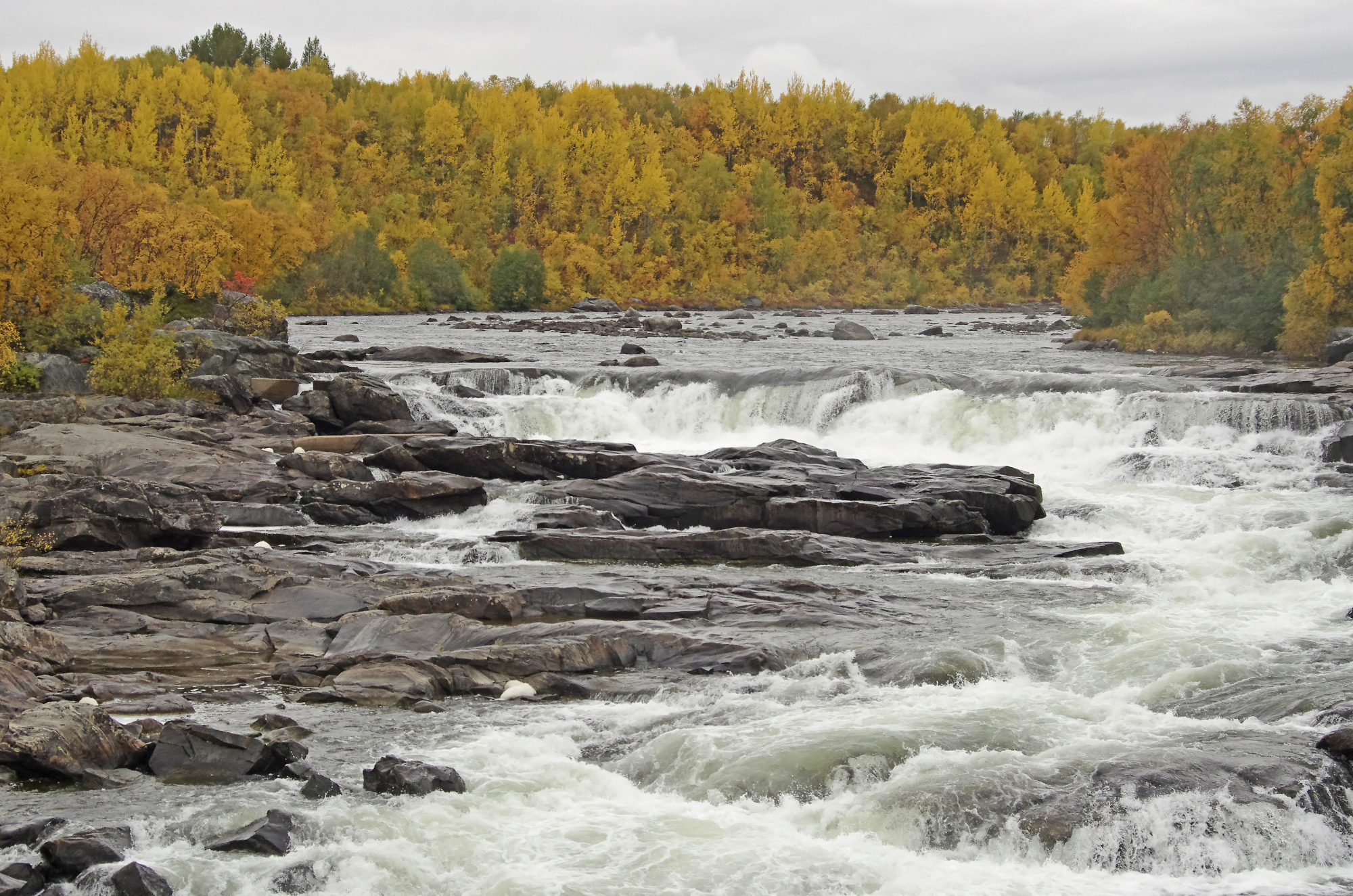 Autumn colours at Neiden rapids in north-eastern Norway