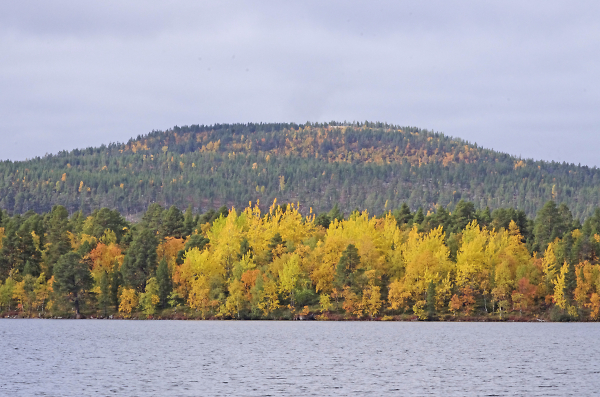 Autumn colours