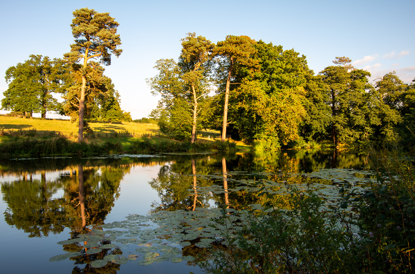 The Lake ii