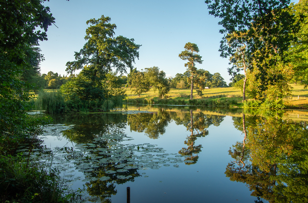 The Lake