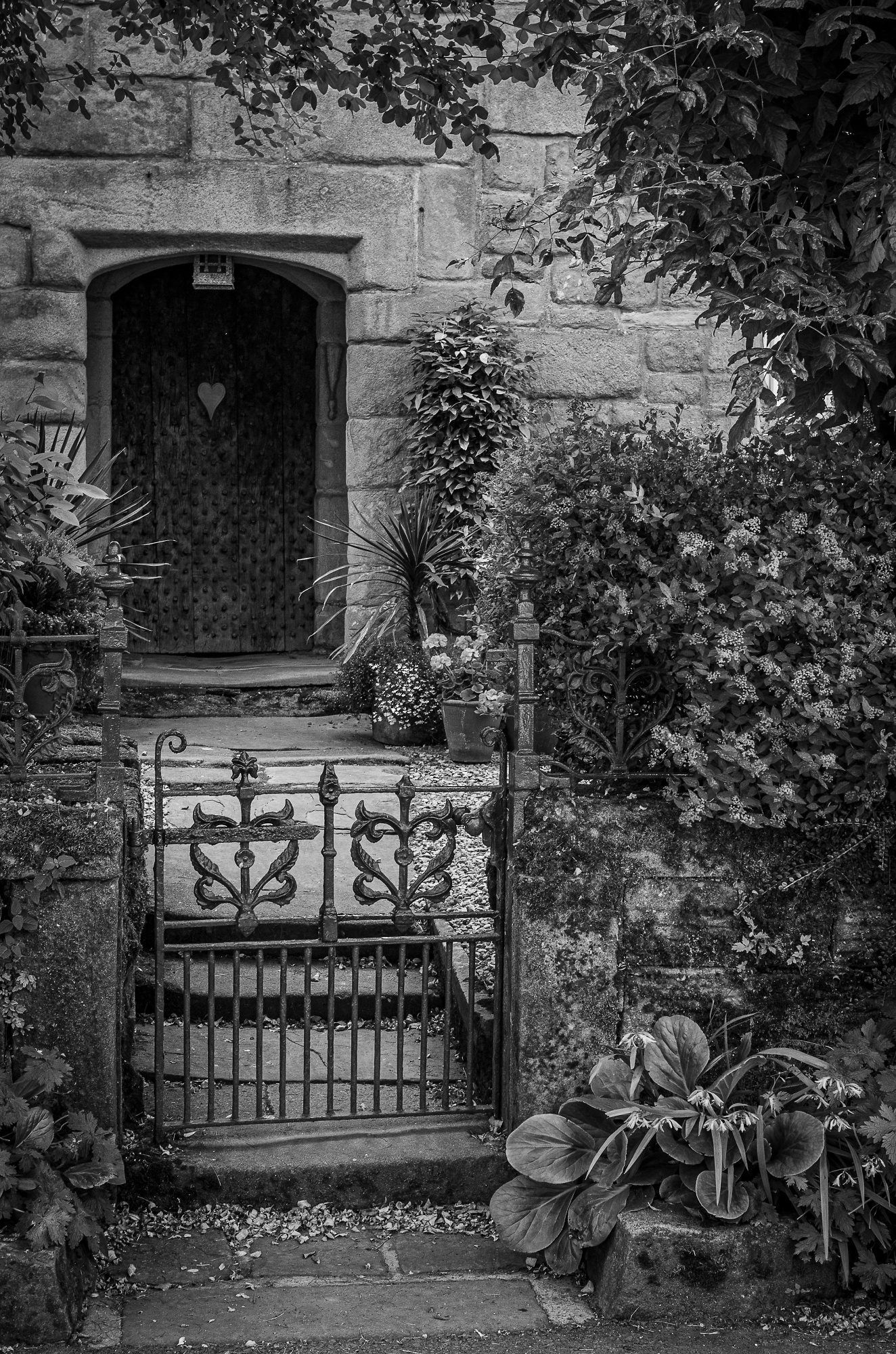 Front Garden
