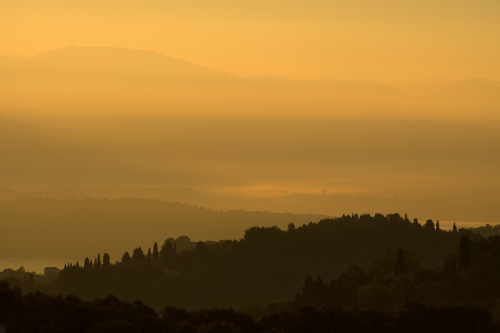 Wonderful Dawn